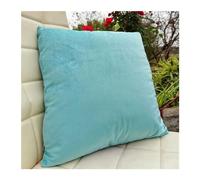 Taie Oreiller 60x60 50 x 70 40x60 cm velours (Lot de 2) Taie d'oreiller 50x80 Housse de Coussin pour Oreiller Luxe Style pour Salon Canapé Chambre Modernes ( Color : Blue , Size : 60x70cm(set of 2) )