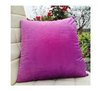 Taie Oreiller 60x60 50 x 70 40x60 cm velours (Lot de 2) Taie d'oreiller 50x80 Housse de Coussin pour Oreiller Luxe Style pour Salon Canapé Chambre Modernes ( Color : Violet , Size : 60x70cm(set of 2)