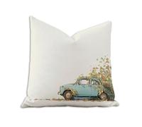 Taie Oreiller 65x65 cm - Housse de Coussin Extérieur Imperméable avec Fermeture Éclair Invisible - Beige & Voiture Protege Oreiller en Velours Impression Double Face - Décoration - 1 Pièce 2B-1176