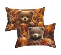 Taie Oreiller 70x90 Lot de 2 Housse de Coussin Animal Coussin Canape, Rectangulaire Velours Taies D'oreillers Couleur Orange Decoratif Housse Oreiller pour Chambre Lit, Decoration Salon Moderne P-94