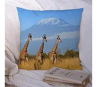 Taies d'oreiller Giraffe National Park Plain Kenya Big Africa Ear Animals Horned Wildlife Nature Kilimandjaro in Fun Polyester Couvre-lit Taie d'oreiller Housse de Coussin pour canapé décorations 18
