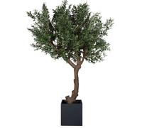 Taiga Olive Tree 270 (olivier) Plante artificielle Tanaman - TANAMAN A AB2 FB11