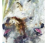 Tail Swallower and Dove by These Arms Are Snakes (2008-10-07)