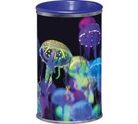 Maped - Taille-crayons canette - 1 trou - Avec réservoir - Deepsea Paradise