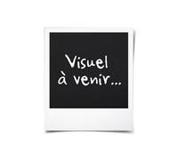 Taille-haie thermique - 2 temps - Coupe 51 cm - Largeur 24 mm