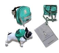 Tailtote Sac à dos de randonnée pour chien, léger, réglable et résistant à l'eau, idéal pour les aventures en plein air, le dressage des chiots ou les promenades quotidiennes (taille S)