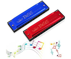 TaimeiMao Harmonica 10 Trous,Harmonica Diatonique Standard,Harmonica