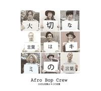 Taisetsu Na Kotoba Wa Kimi No [Import allemand]