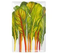 TAITÙ Dieta Mediterranea Plat de Service Fines Herbes Blanc Vert