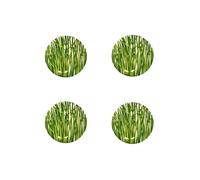 TAITÙ Life in Green Soucoupe 17 cm 4 pièces G