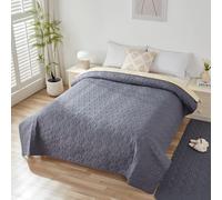 Taiyang Housse de canapé 100% imperméable, Housse de lit, Housse pour Animaux de Compagnie, canapé, Housse pour Meubles de canapé, Convient aux Enfants, Chiens, Chats(Gris, 208-260 cm)