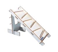 TAIZhiChen Accessoire d'expérimentation 3D en bois, modèle réaliste, simulation scientifique et technologique, jouets de construction à faire soi-même, à