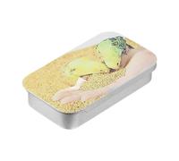 TAIZhiChen Boîte de Guérison D'oiseau Robe Pulper Boîte de Friandises Supplies d'alimentation du Distributeur de Métal Handheld -Feeder -Feeder-Slider Cover Caxe, Style A