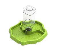 TAIZhiChen Contenants Alimentaires et Accessoires D'aquarium pour Reptiles, Bols d'alimentation pour Reptiles, Réserves de Nourriture et d'eau pour G, Herbe Verte