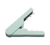 TAIZhiChen Épine-rosier, épine-rosier pour La Préparation Des Bouquets,