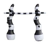 TAIZhiChen Jeu de Gonflable, Jeu de Fête Portable avec Perche de et Luau dans Le Jardin