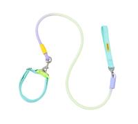 TAIZhiChen Laisse pour Promenade et Jogging en Nylon Résistant avec Boucle Réglable et Confort Optimal Adaptée Aux Chiens de Toutes Tailles, Vert