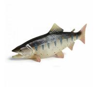 TAIZhiChen Lot de 3 Modèles Réalistes de Crustacés, Jouets Marins Très Détaillés de Trois Marques Différentes, Décoration éducative pour Aquarium (enseignants, C, 2 pièces