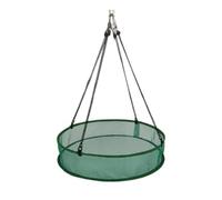 TAIZhiChen Plateau Récupérateur de Graines pour Oiseaux, Accessoire de Jardin, Cerceau Suspendu, Cerceau à Graines pour Agriculteur, Vert