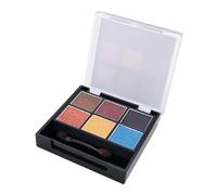 TAIZhiChen Poudre de vieillissement pour maquettes, accessoire pratique et résistant, pigment pour dioramas et en céramique PP, Style F