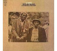 Taj Mahal Pointer - Taj Mahal: Recycling the Blues Other..