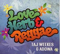 Love Herb and Reggae