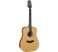 Takamine GD20-NS Natural Satin G