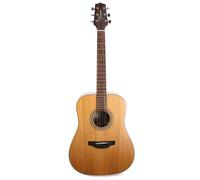 Takamine GD20NS - Gd20-ns Guitare acoustique dreadnought