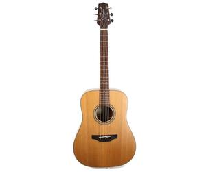 Takamine GD20NS - Gd20-ns Guitare acoustique dreadnought