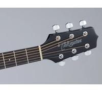 Takamine Takamine GF30CE-B