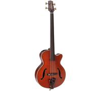 Takamine Takamine DB10 w.Case
