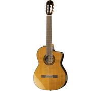 Takamine Takamine EC132SC w/Softcase