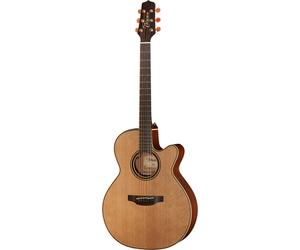 Takamine Takamine P3NC Pro Series w/Softcase