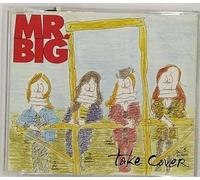 Take Cover (5 Trax) [Import]