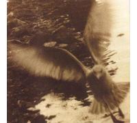 Take Me Home : A Tribute To John Denver (Mark Kozelec, Bonnie Pribce Billy, Tarnation, Low