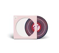 Take That – Everything Changes – Vinyle LP Picture Disc Zoetrope Éd. Lim. 2024 (Import)