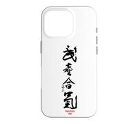 Takemusu AIki, Aïkido Coque pour iPhone 16 Pro