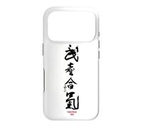 Takemusu AIki, Aïkido Coque pour iPhone 17 Pro