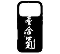 Takemusu AIki, Aikido Coque pour iPhone 17 Pro
