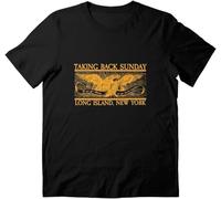 Taking Sleeve Back Unisex Sunday Cotton Gold Graphic Eagle Birthday Tee T-Shirt(Medium)
