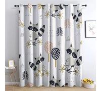 TAKUAN Rideau Occultant Raton Laveur Rideaux Thermiques à Oeillets pour Chambre, Motif Animaux Rideaux Salon Moderne Lot De 2 Décoration De Fenêtre pour Chambre Enfant Fille Garcon Rideaux, 132x160