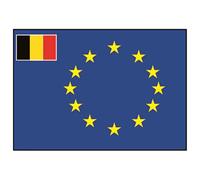Talamex Européen Avec Un Petit Drapeau Belge