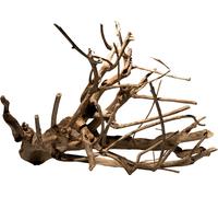 Talawa bois M (30-45 cm)