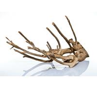 Talawa bois XL (80-100 cm)