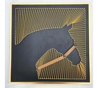 TaLcuS Kit d'art à Cordes DIY for Adultes, kit d'art à Cordes avec Cadre Photo en Bois, Animal 3D, kit de Bricolage Tout Compris avec Instructions(A9,40 * 40cm)