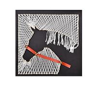 TaLcuS String Art Kit Craft DIY Kits,Unique Handmade Gift Tentacle, Artisanat pour Adultes, Coffret Artisanat pour Femmes, décoration Murale DIY avec Toile encadrée(B,Without Frame)