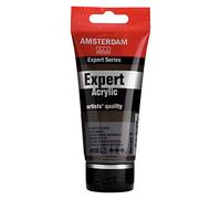 Amsterdam expert acrylique 75ml series 2 terre dombre brut talens 468705 G