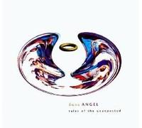 Angel,Dave - Tales Of The Unexpected