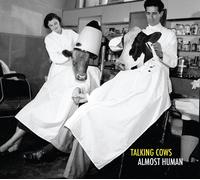 Talking Cows - Almost human