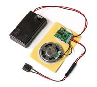 Talking Products, Module de Puce sonore MP3, mémoire de 4 Mo, avec boîtier de Piles AAA. Créez Vos Propres Cadeaux, modèles ou Accessoires de Cosplay personnalisés (Bouton Poussoir)